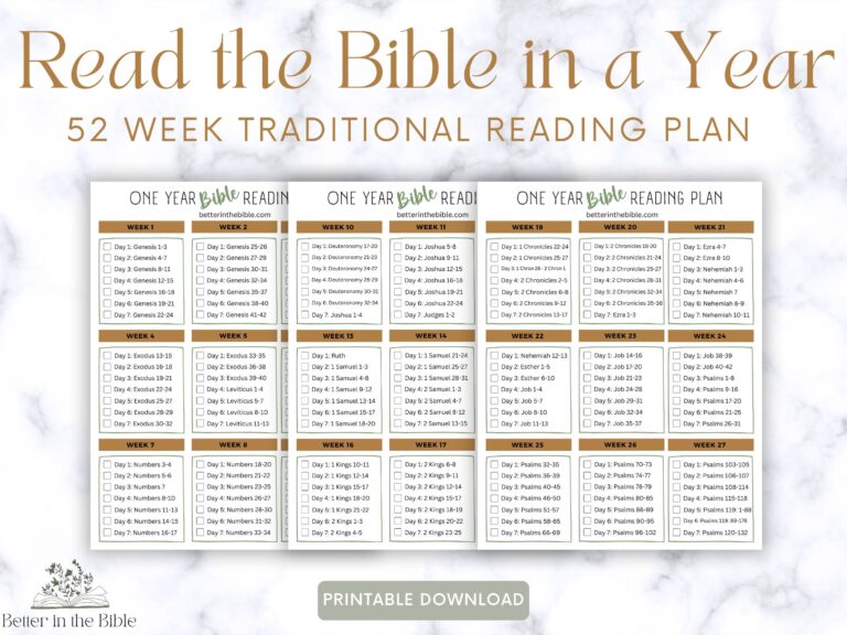 Read The Bible In A Year Chart Traditional Bible Reading Plan Printable Bible In A Year Chart Bible Reading Tracker Bible Tracker Etsy