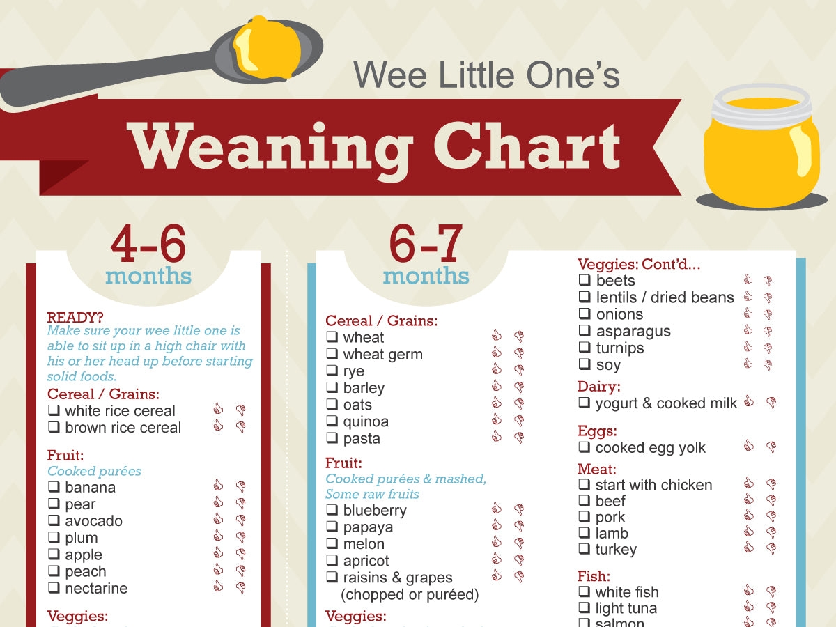 Schedule Weaning Months Weaning Month Baby Food Timetable Diet Weaning Chart For Month Old