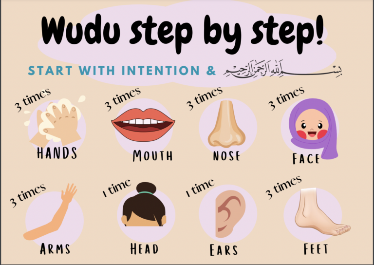 Step By Step Wudu Chart The Hady Life
