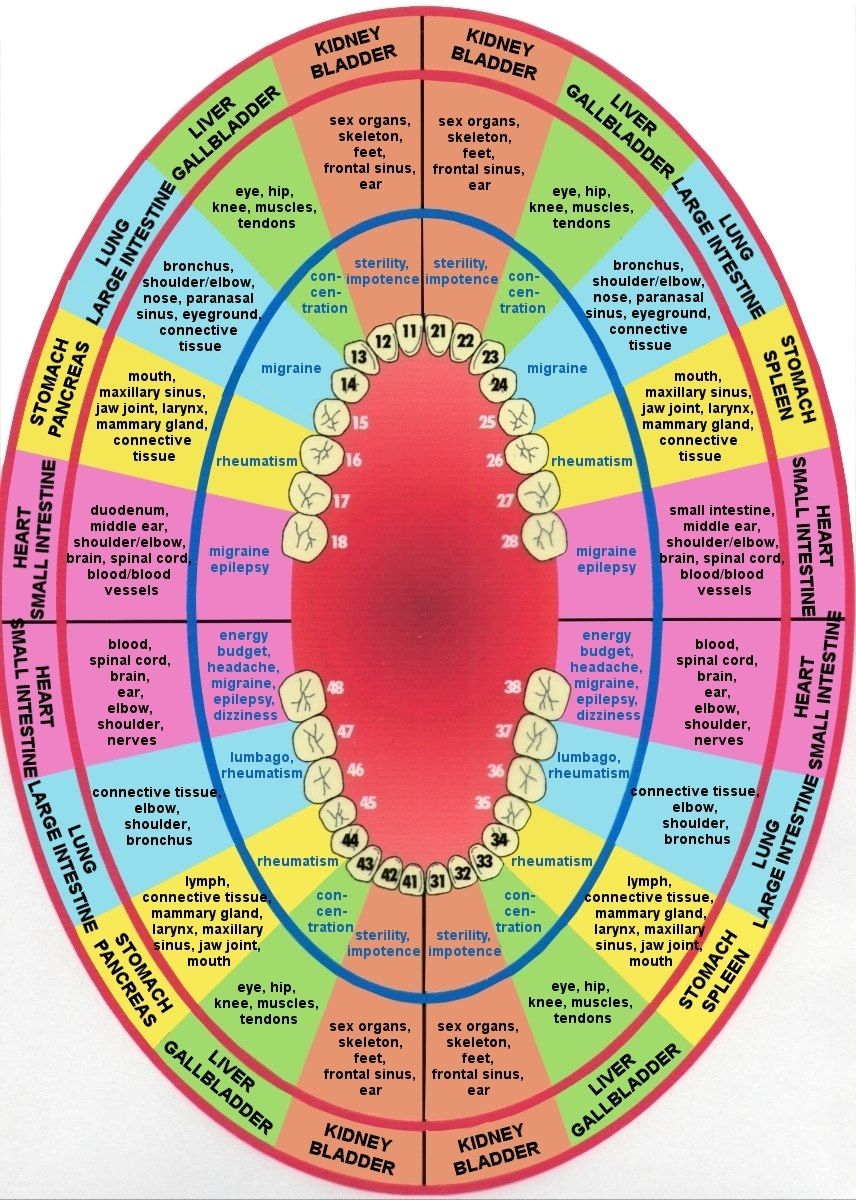 Teeth Meridian Chart In Acupuncture Teeth Meridian Chart In Acupuncture