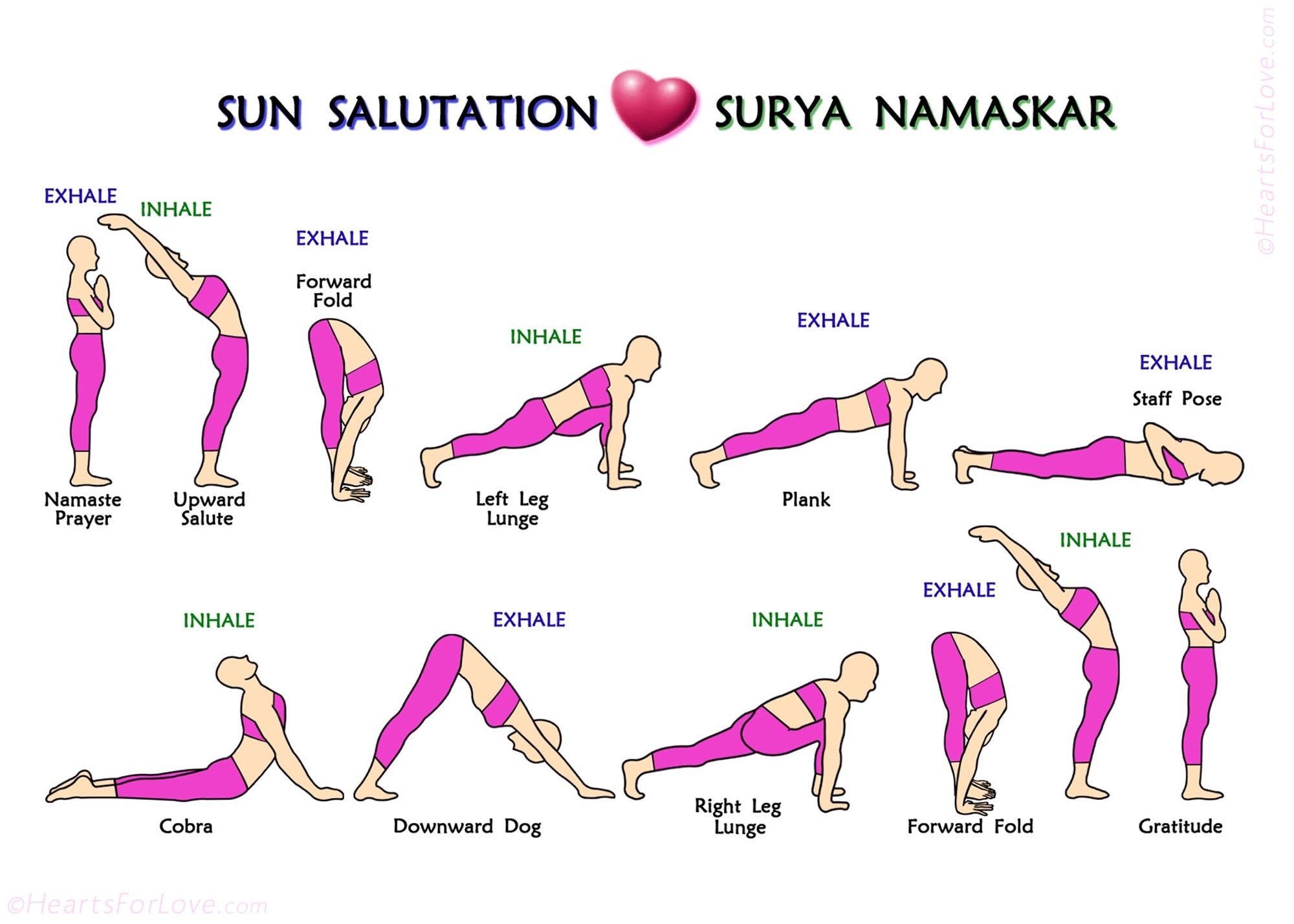 The 12 Steps Of Surya Namaskar Or Sun Salutation Yoga Postures Print 5x7 Etsy