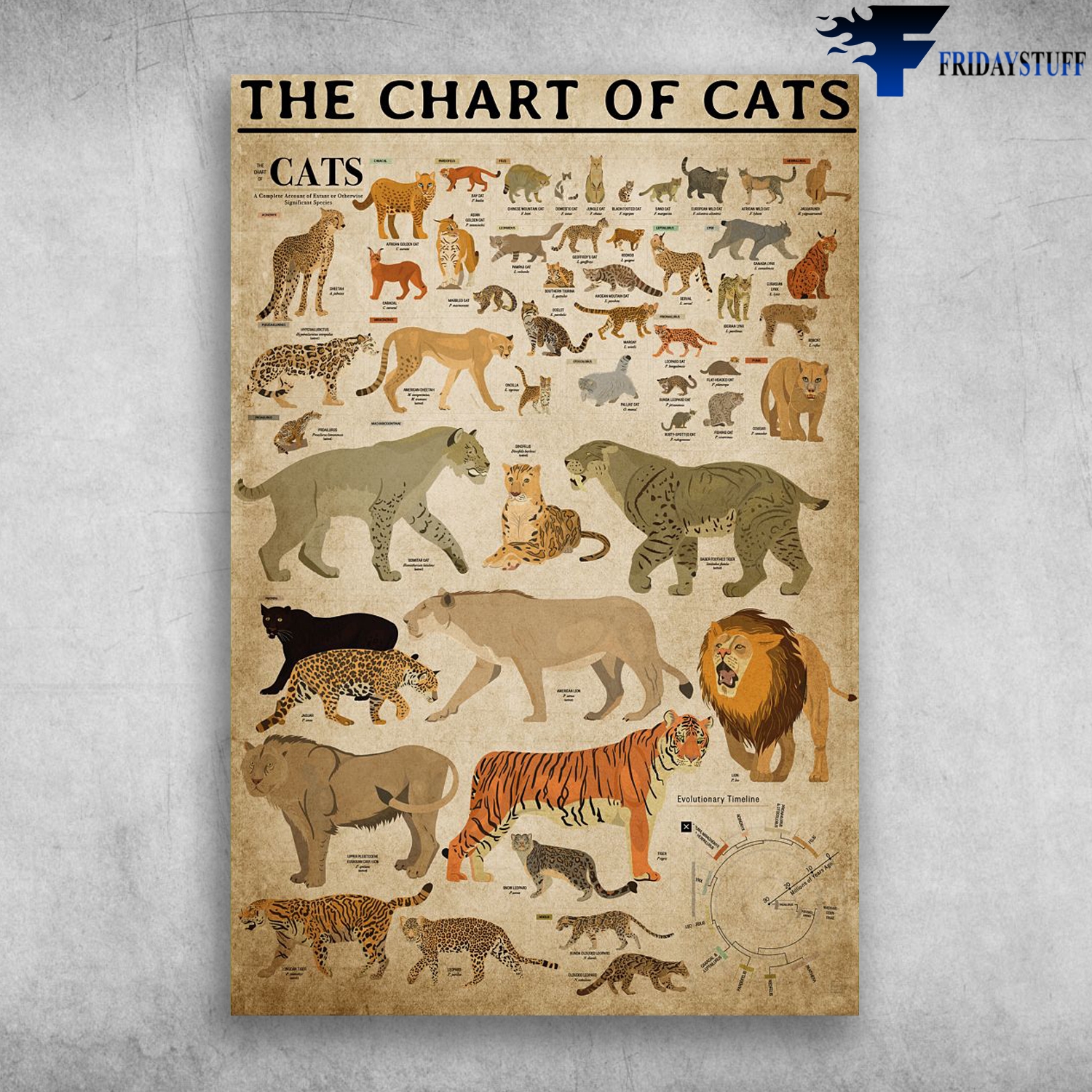 Printable Big Cat Chart