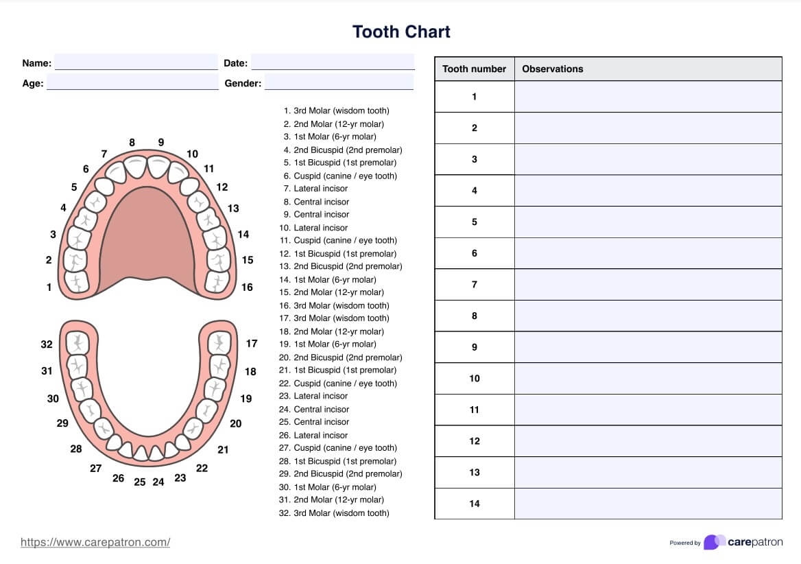 Tooth Charts Tooth Charts