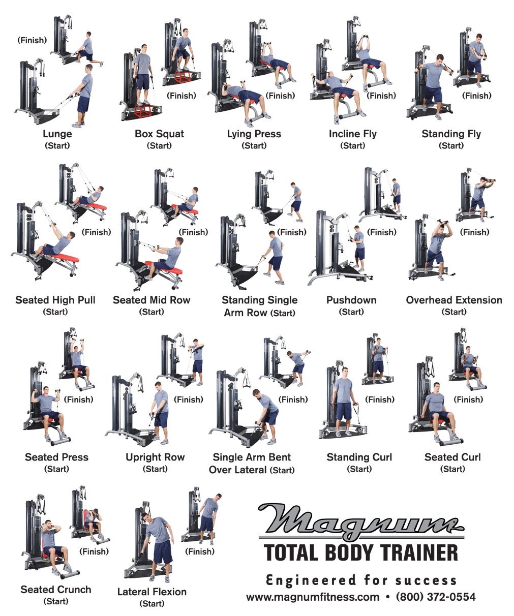 Total Gym Exercise Routine Pdf Printable Total Gym Workout Cards Pdf Workout Plan Total Gym Total Gym Exercise Routine Pdf Printable Total Gym Workout Cards Pdf Workout Plan Total Gym