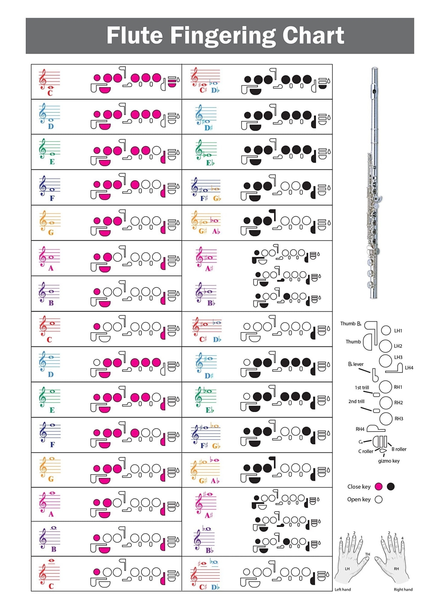 Upright Bass Fingering Chart Poster With Color Coded Notes Double Bass Chart Suitable For All Levels Walmart