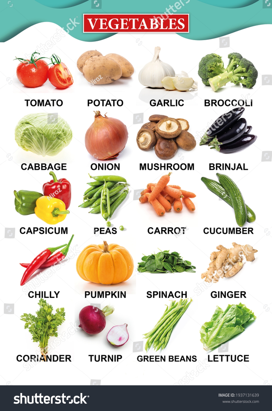 Vegetable Chart Kindergarten Kids Stock Photo 1937131639 Shutterstock Vegetable Chart Kindergarten Kids Stock Photo 1937131639 Shutterstock