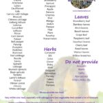 Vegetables Daily Guinea Pig Food Chart Food List Food For Guinea Pigs Everyday Food List Guinea