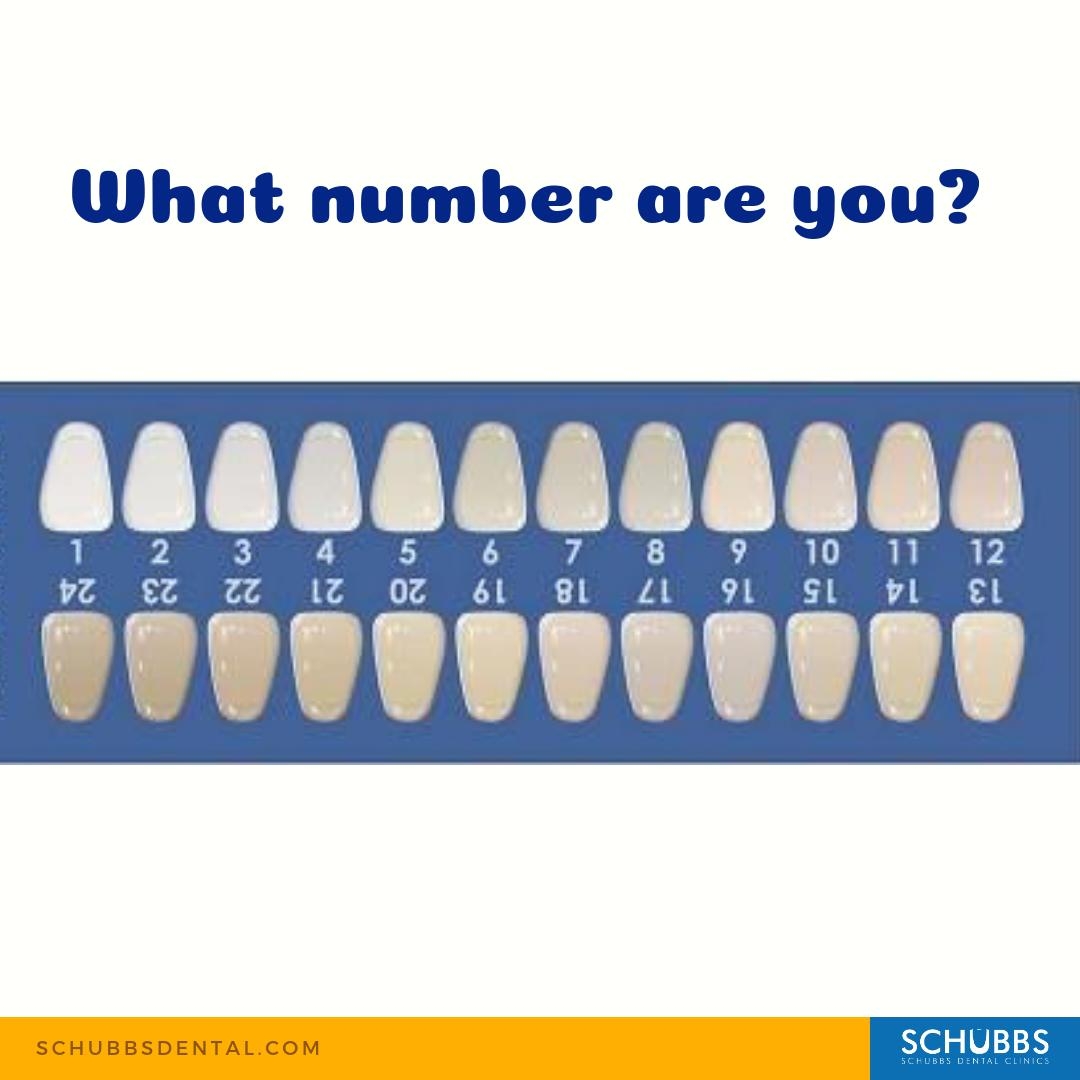 Vita Shade Guide Dental 5 Pack Teeth Whitening Shade Guides Dentist Grade Color Comparison Cards White Tooth Shade Chart Vita Shade Guide Dental 5 Pack Teeth Whitening Shade Guides Dentist Grade Color Comparison Cards White Tooth Shade Chart