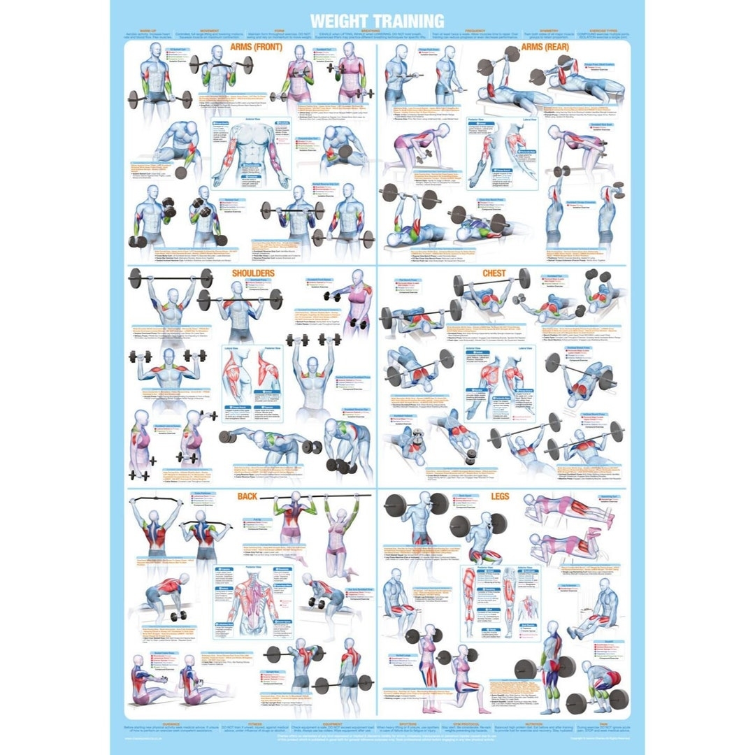 Weight Training Poster Full Body Workout Chart Etsy Weight Training Poster Full Body Workout Chart Etsy