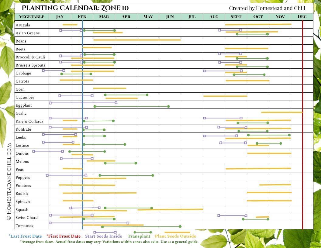 When To Start Seeds Indoors Planting Calendars For Every Zone Homestead And Chill