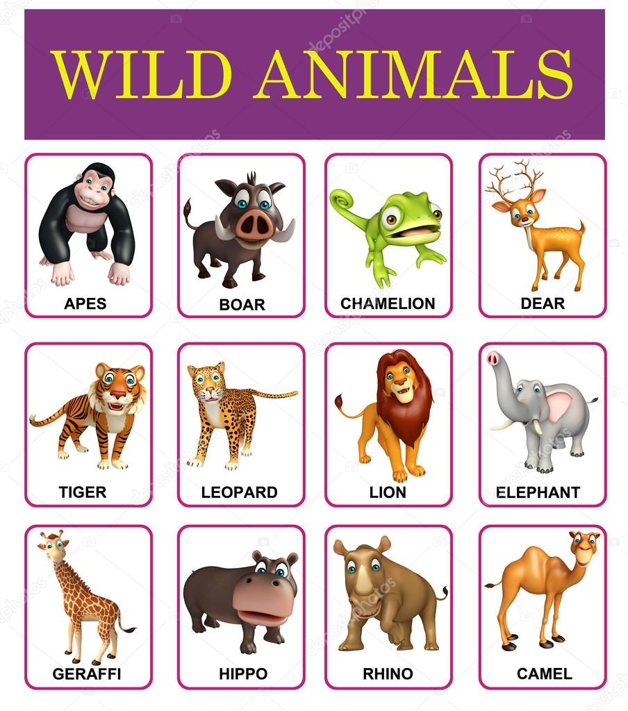 Wild Animal Chart Stock Photo Visible3dscience 102409900