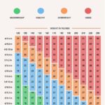 Woman BMI Chart Template In PDF Download Template