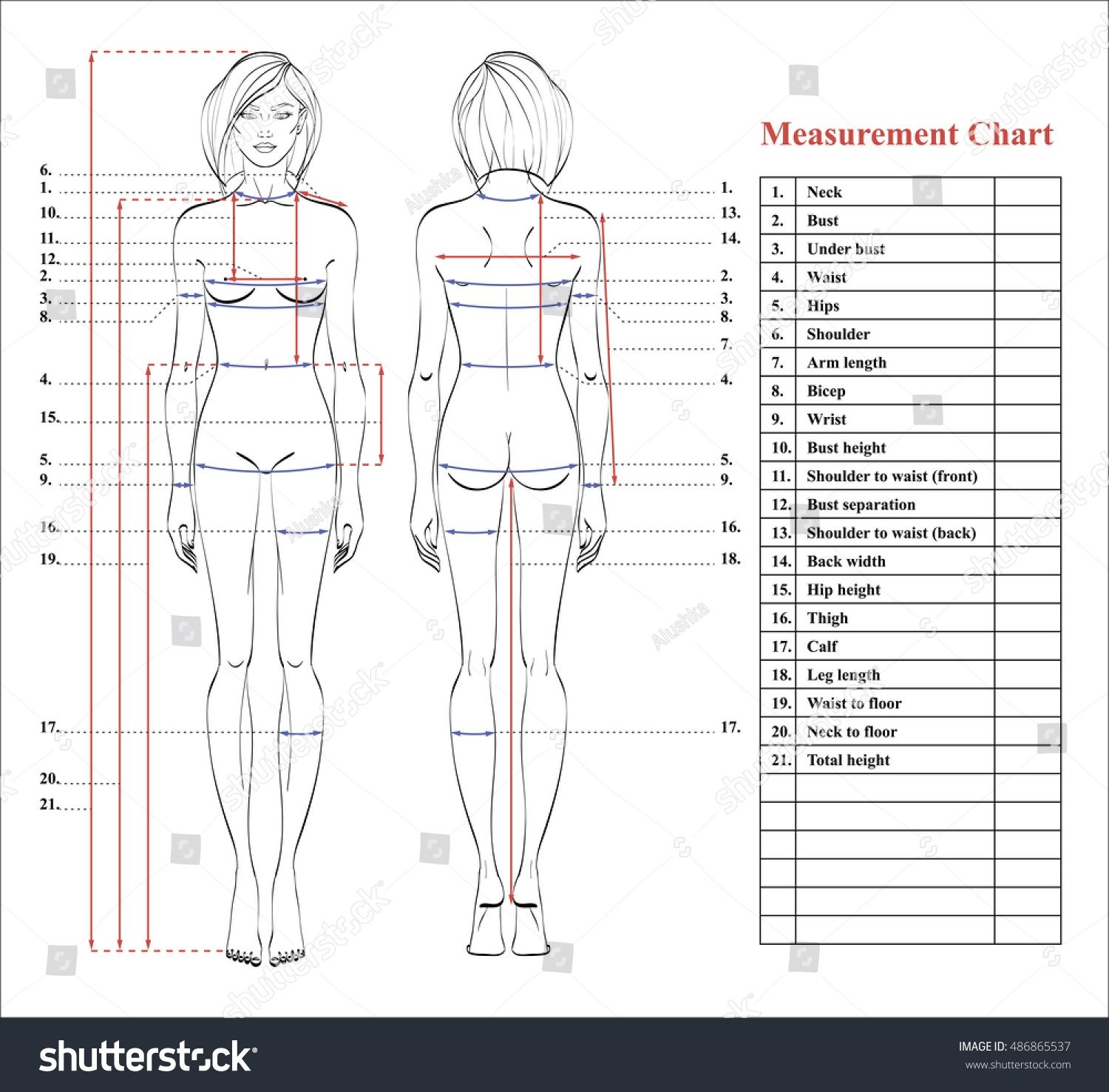Woman Body Measurement Chart Scheme Measurement Stock Vector Royalty Free 486865537 Shutterstock Woman Body Measurement Chart Scheme Measurement Stock Vector Royalty Free 486865537 Shutterstock