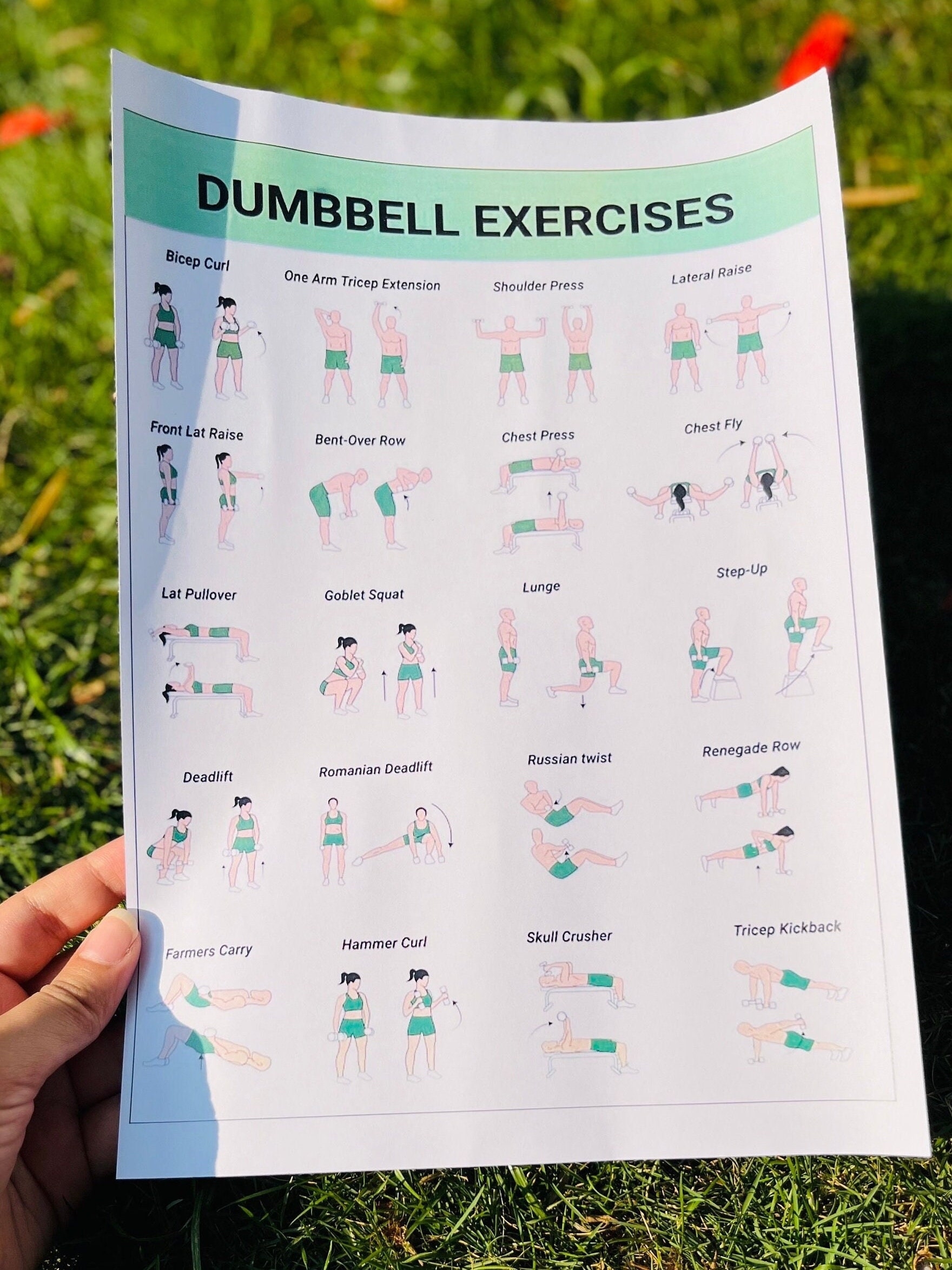 Workout Chart Printable Dumbbell Workout Routine Pdf Free Printable Gym Routine Exercise Chart Printable Dumbbell