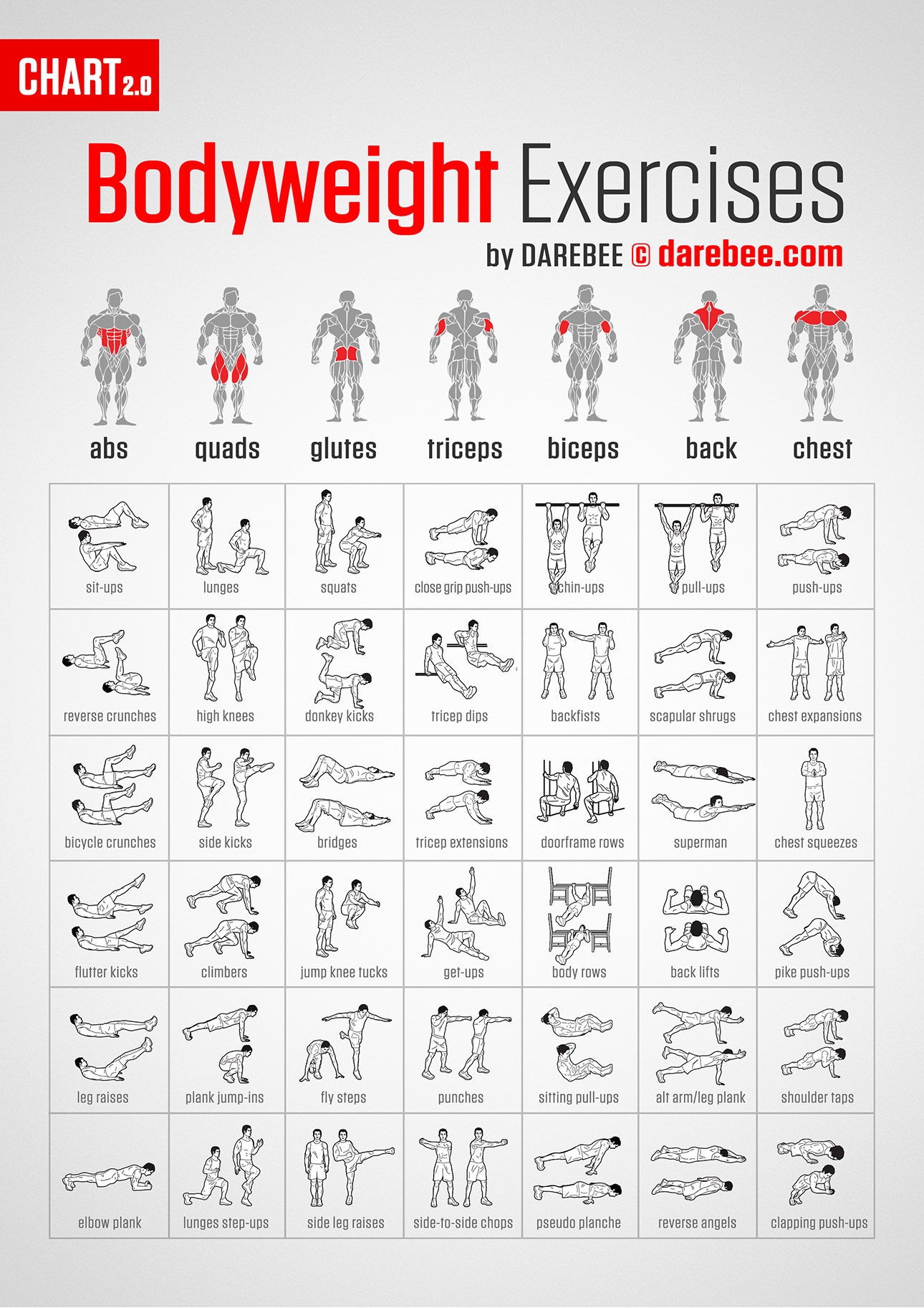 Workout Charts 3SEVEN FITNESS