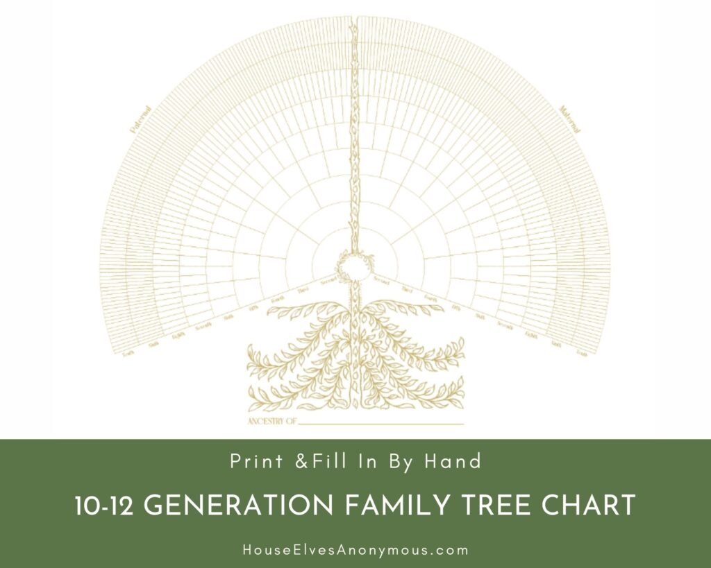 12 Generation Fan Chart Blank Download - Printable 12 generation fan chart template for family tree with elegant design for d