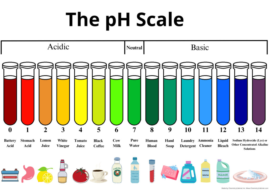 Free Ph Chart Basic Printable - Printable Ph Chart PH Scale Neutral Colouring | Colouring Sheets