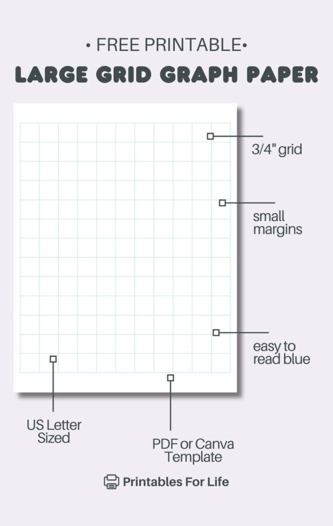 Large Grid Graph Paper Free Printable PDF
